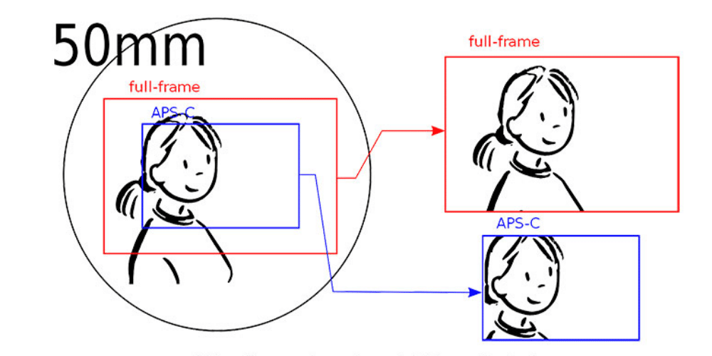 differenza ff-apsc