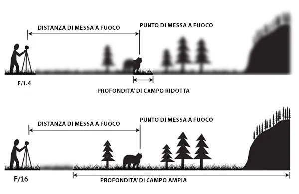 profondità di campo