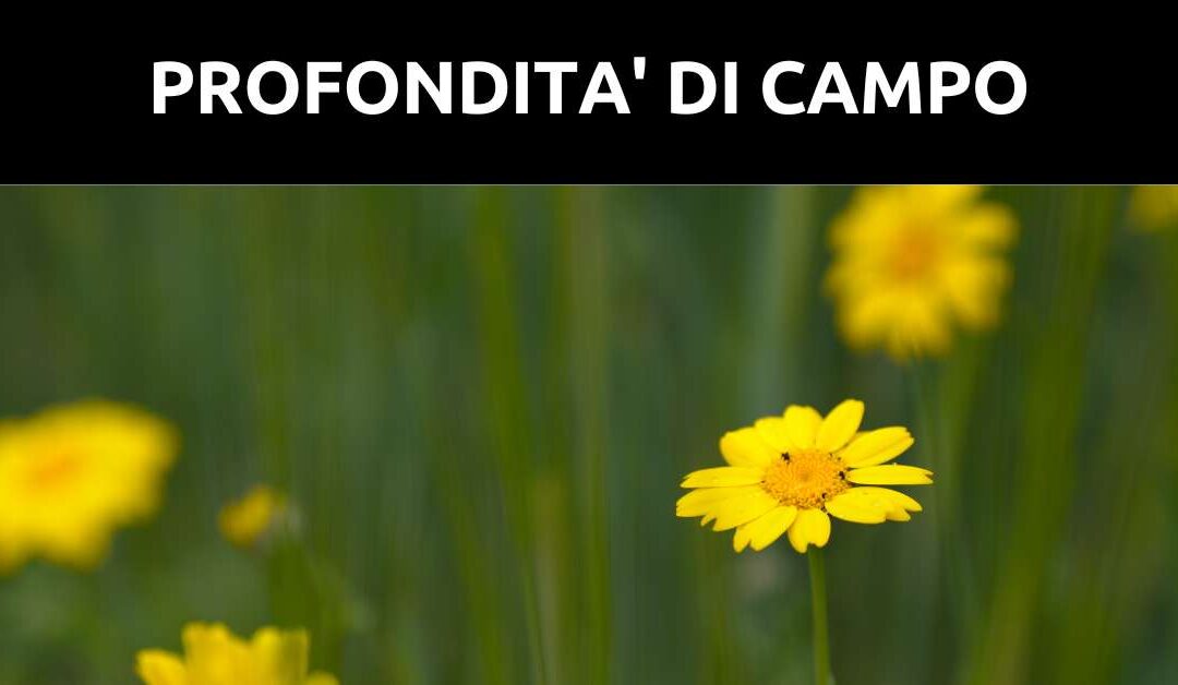 La profondità di campo